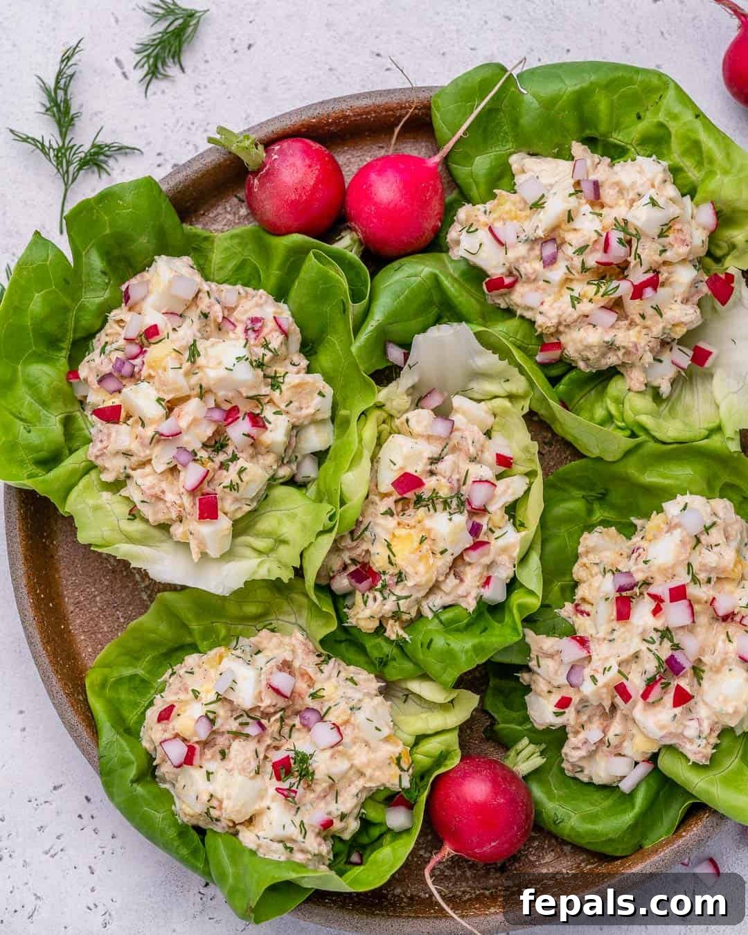 Low Carb Tuna Salad Lettuce Cups 2 easy tuna salad recipe in lettuce wraps top view