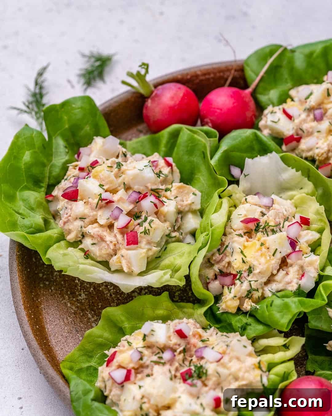 Low Carb Tuna Salad Lettuce Cups 5 low crab tuna salad recipe