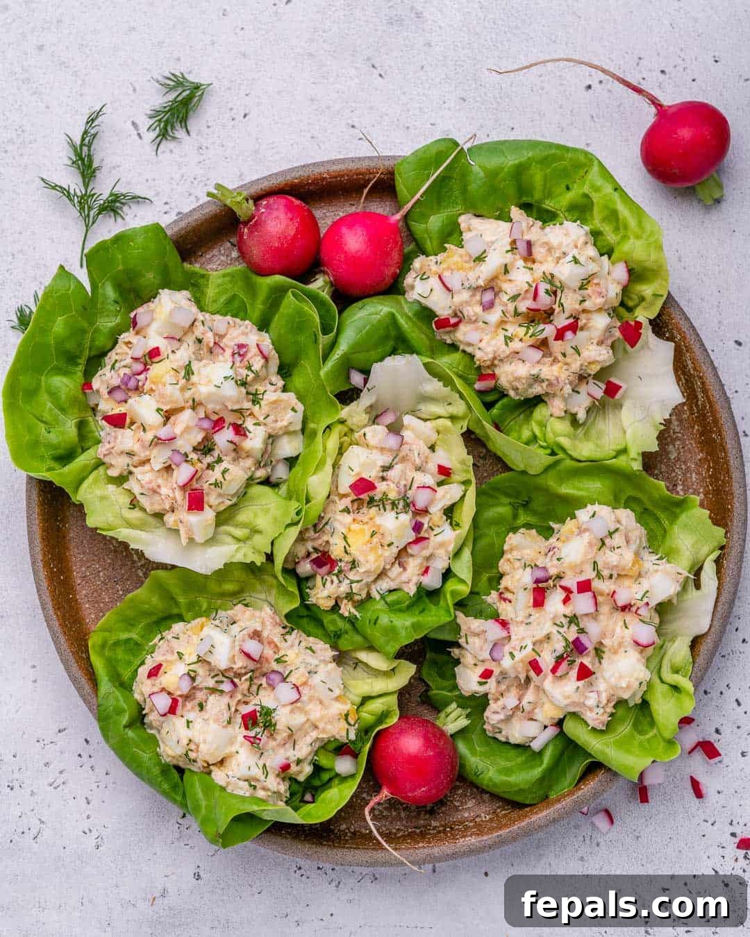 Low Carb Tuna Salad Lettuce Cups 6 healthy tuna salad recipe