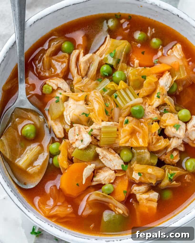 Top view of a cozy bowl of chicken and vegetable soup with a spoon resting in it.