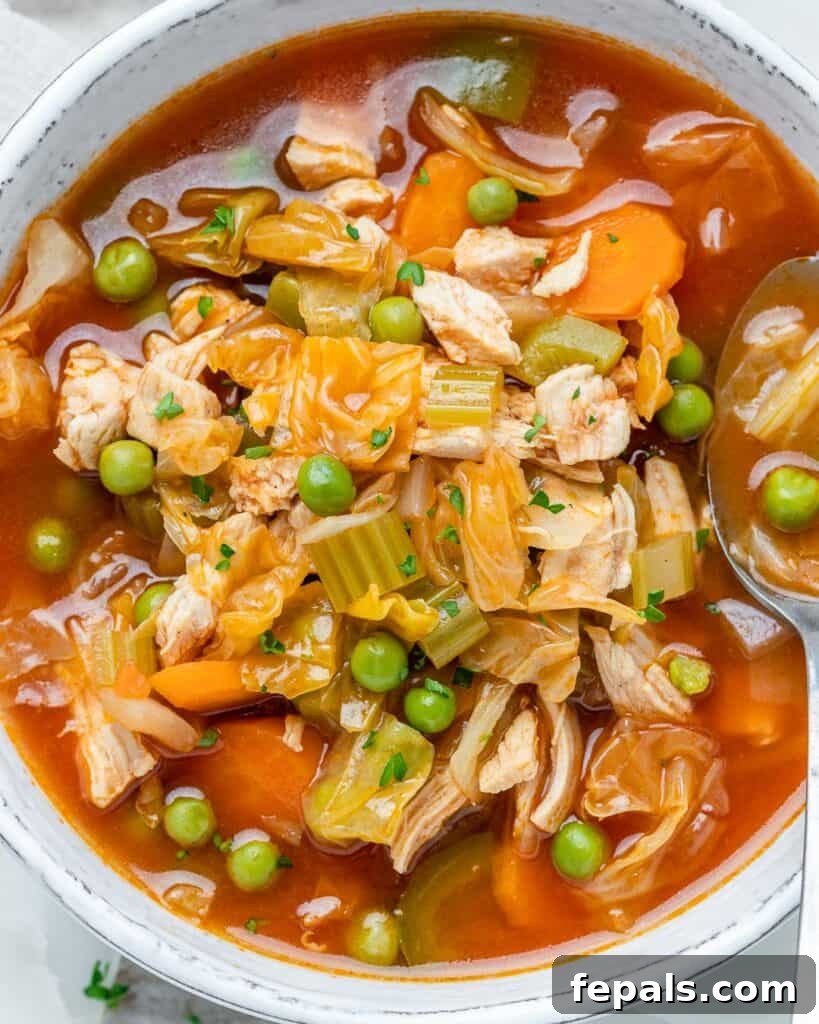 Top-down view of a white bowl filled with chicken and cabbage soup, adorned with various colorful vegetables.