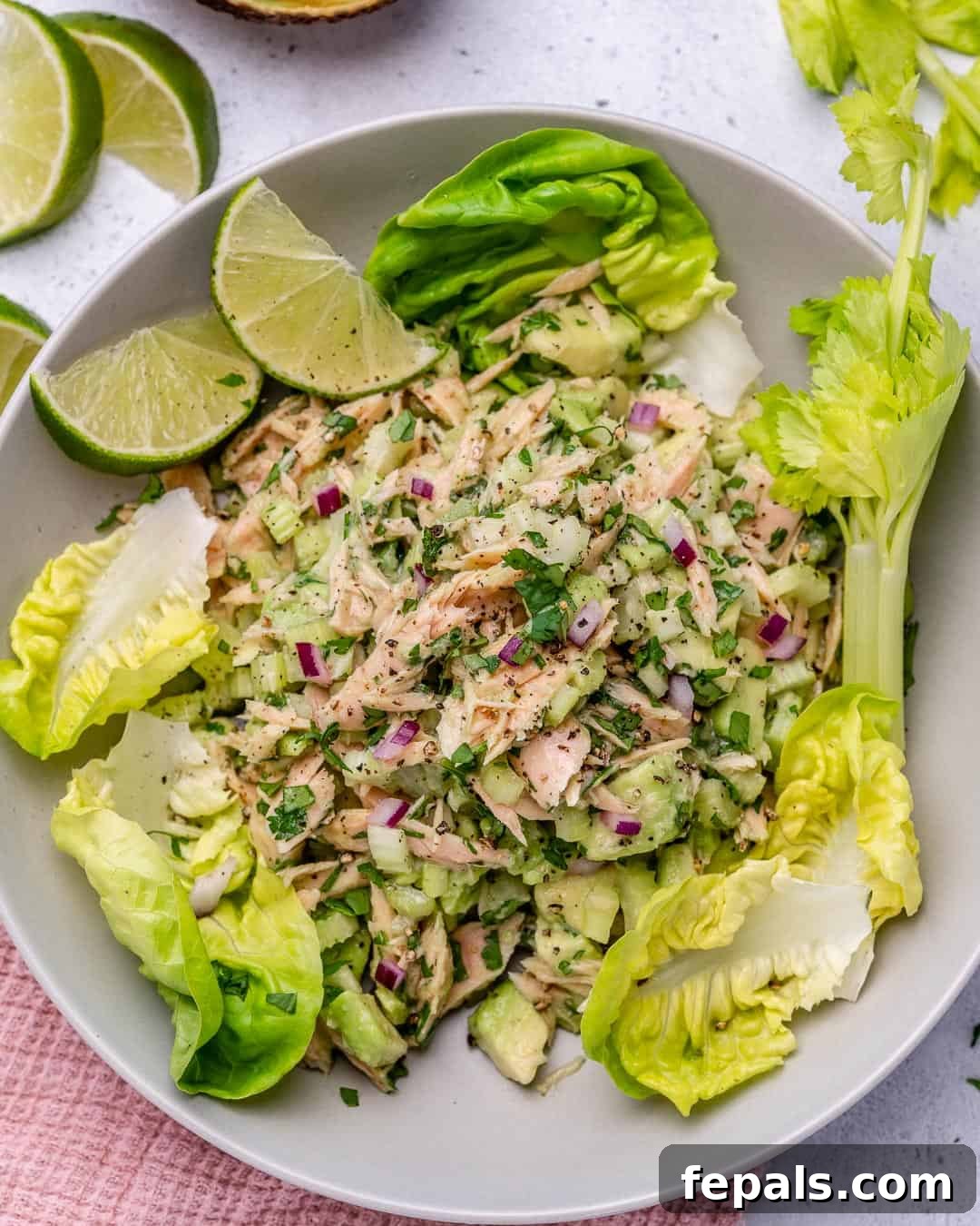 Wholesome Avocado Tuna Blend 2 healthy and easy tuna salad recipe with celery and avocado