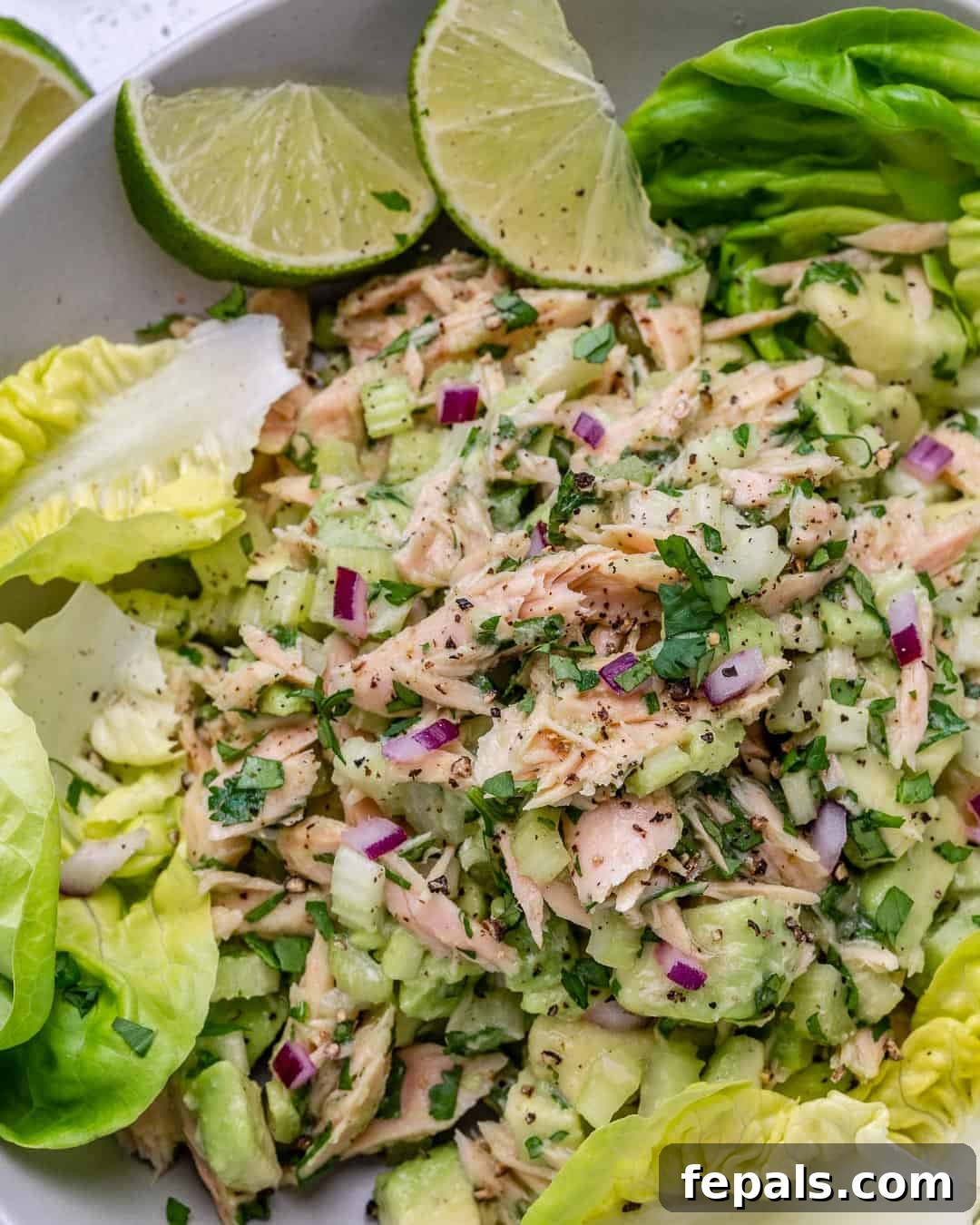 Wholesome Avocado Tuna Blend 12 simple and easy tuna salad recipe without mayo