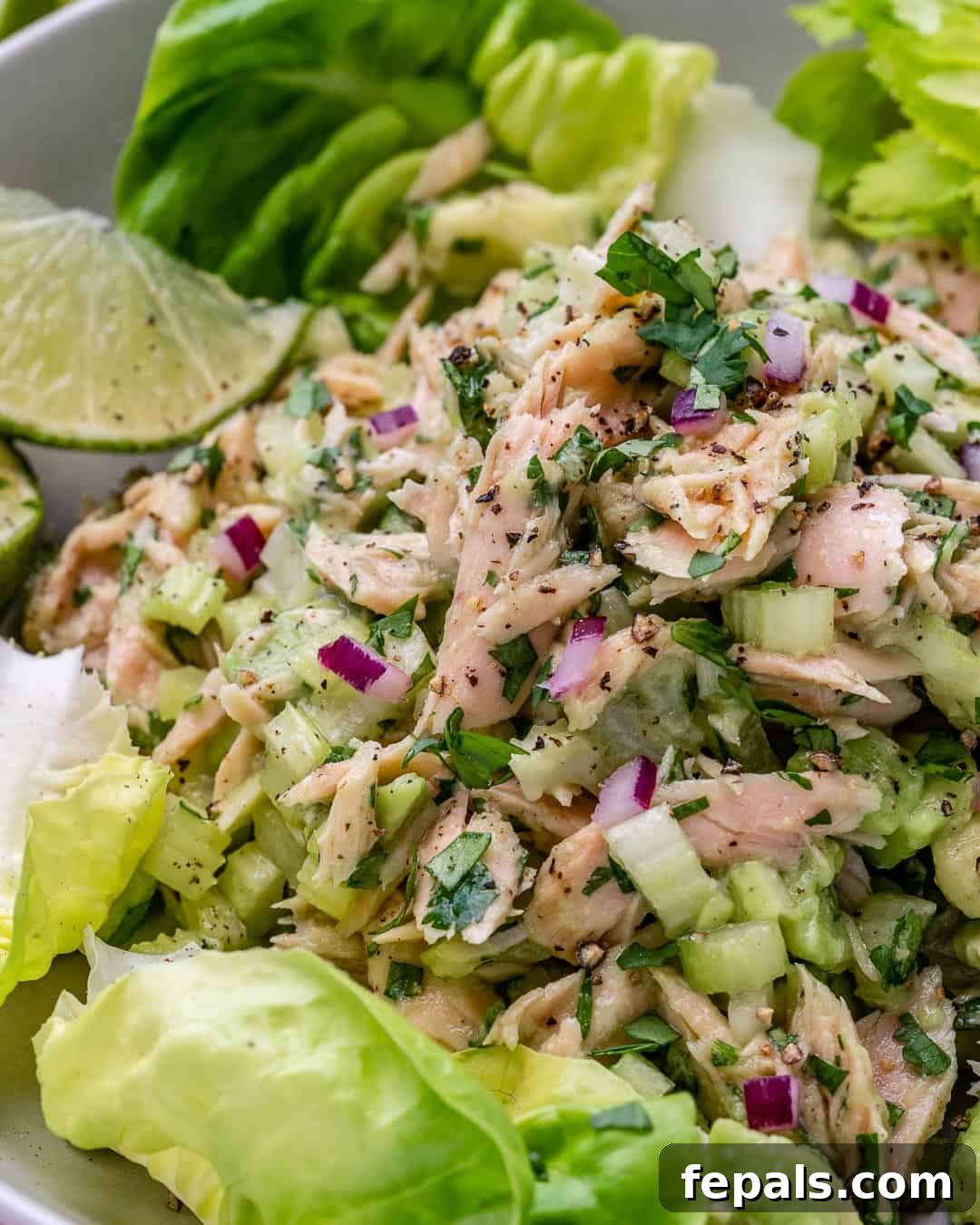 Wholesome Avocado Tuna Blend 5 best tuna salad recipe with no mayo