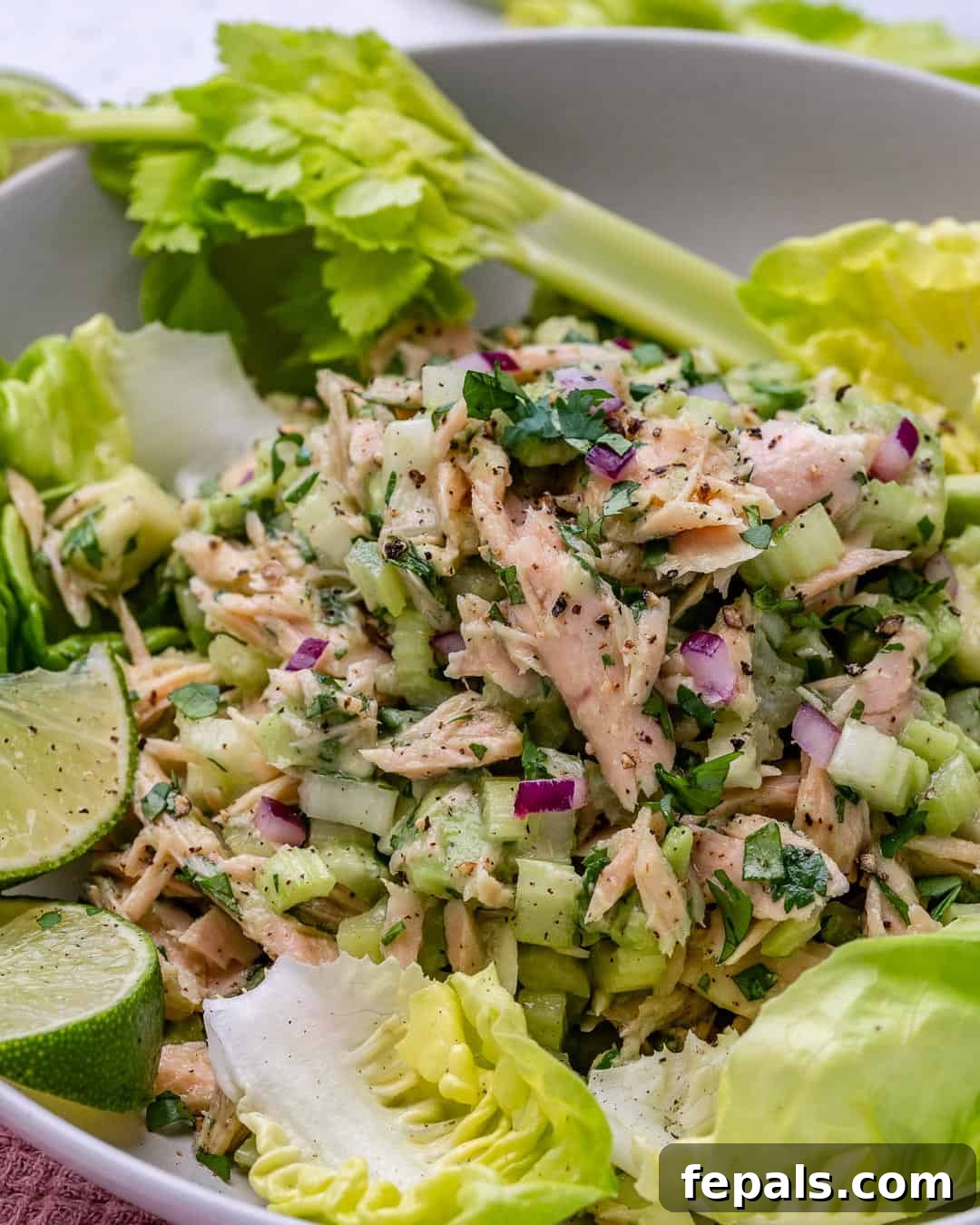 Wholesome Avocado Tuna Blend 6 healthy homemade tuna salad