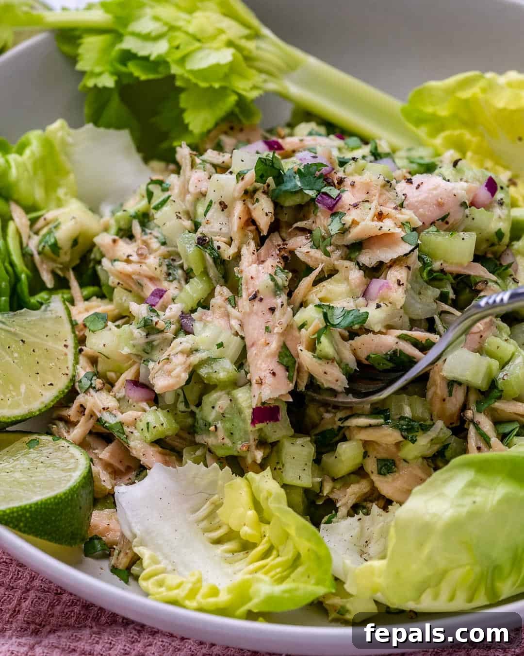 Wholesome Avocado Tuna Blend 7 homemade tuna salad recipe