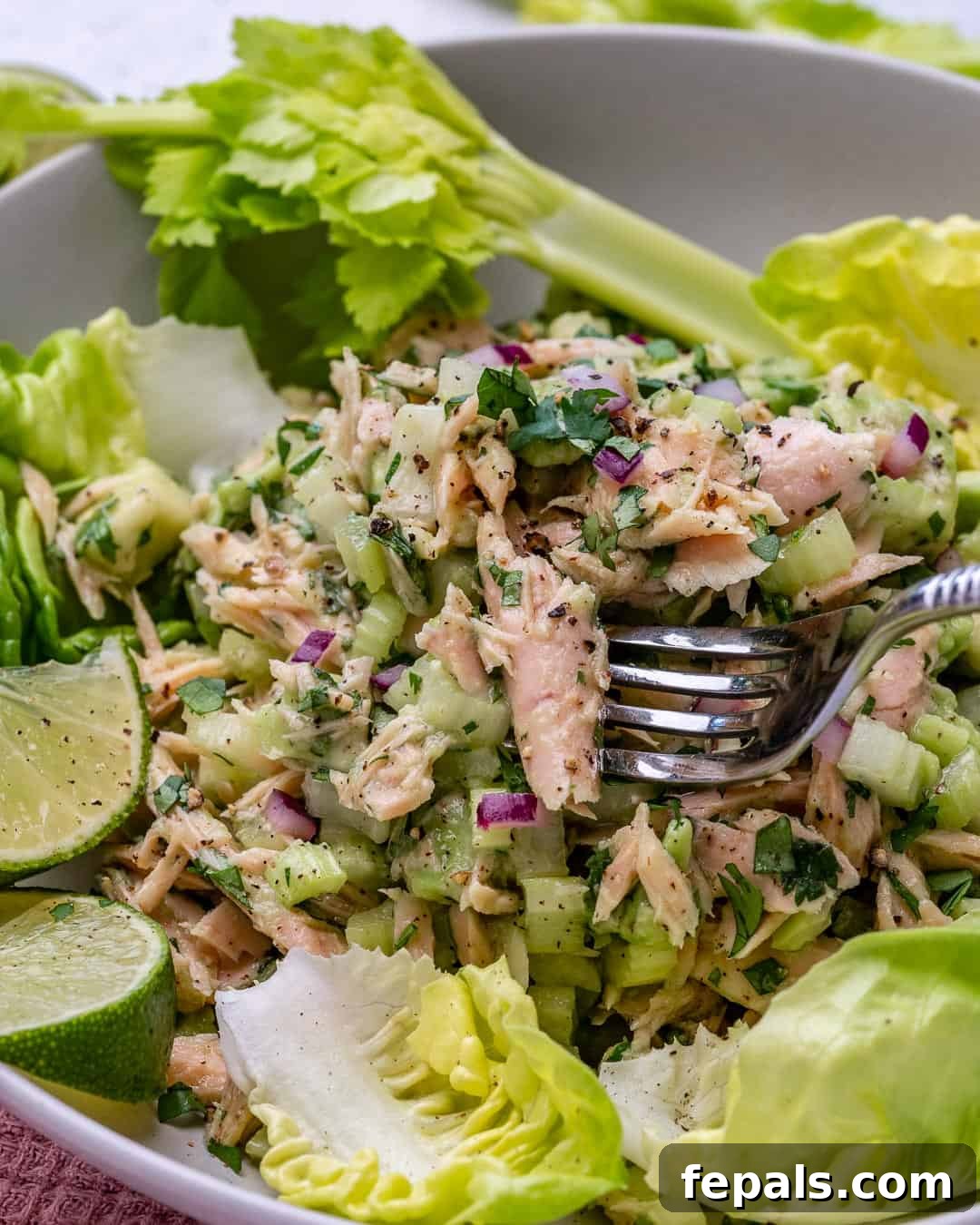 Wholesome Avocado Tuna Blend 8 Tuna Avocado Salad