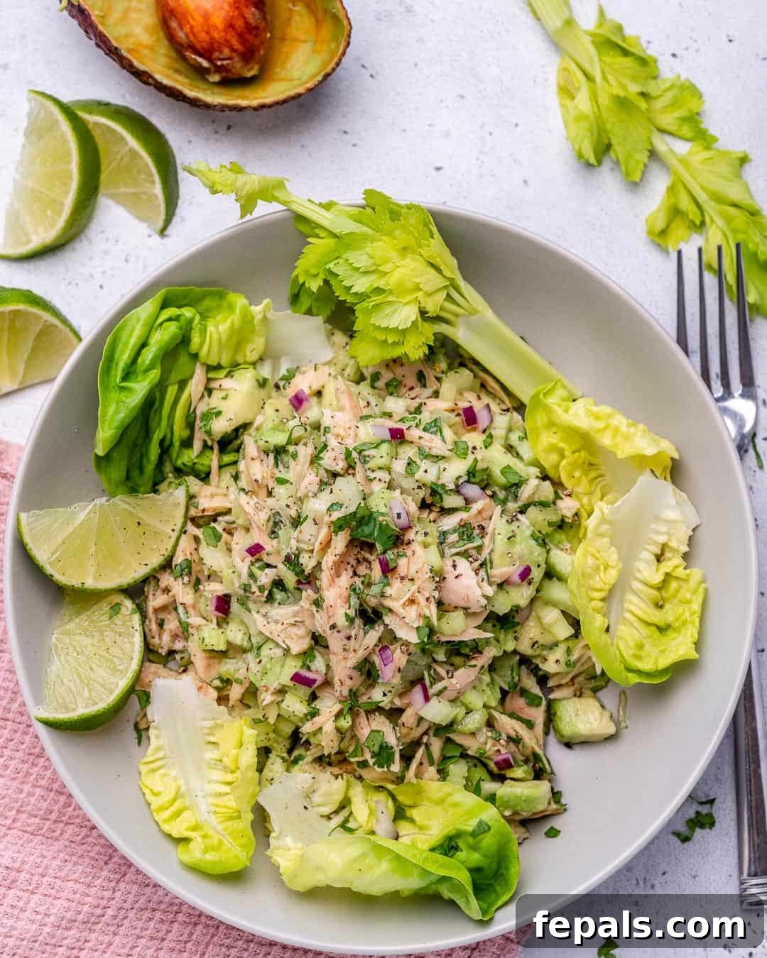 Wholesome Avocado Tuna Blend 9 simple and easy tuna salad recipe without mayo