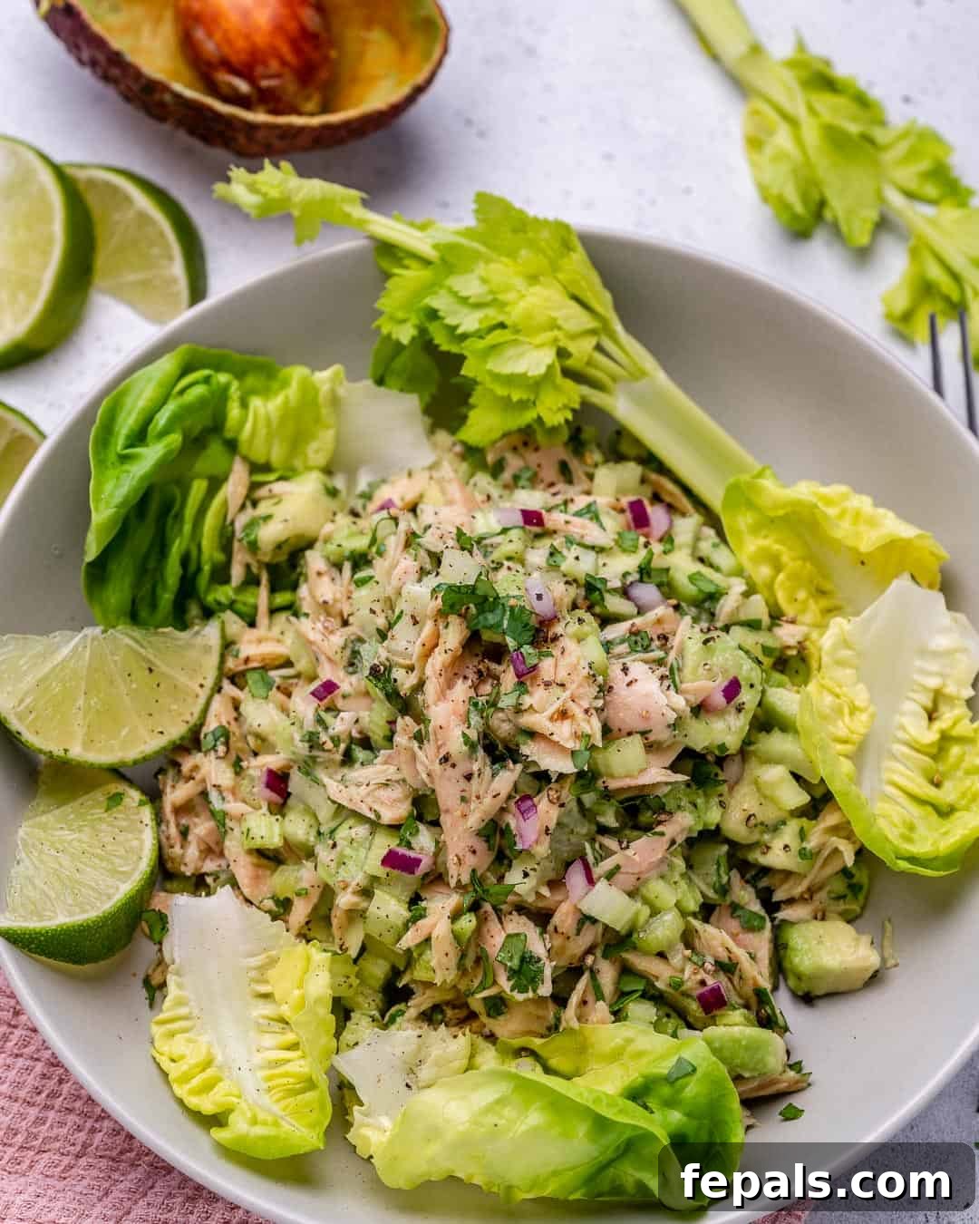 Wholesome Avocado Tuna Blend 10 homemade avocado tuna salad recipe