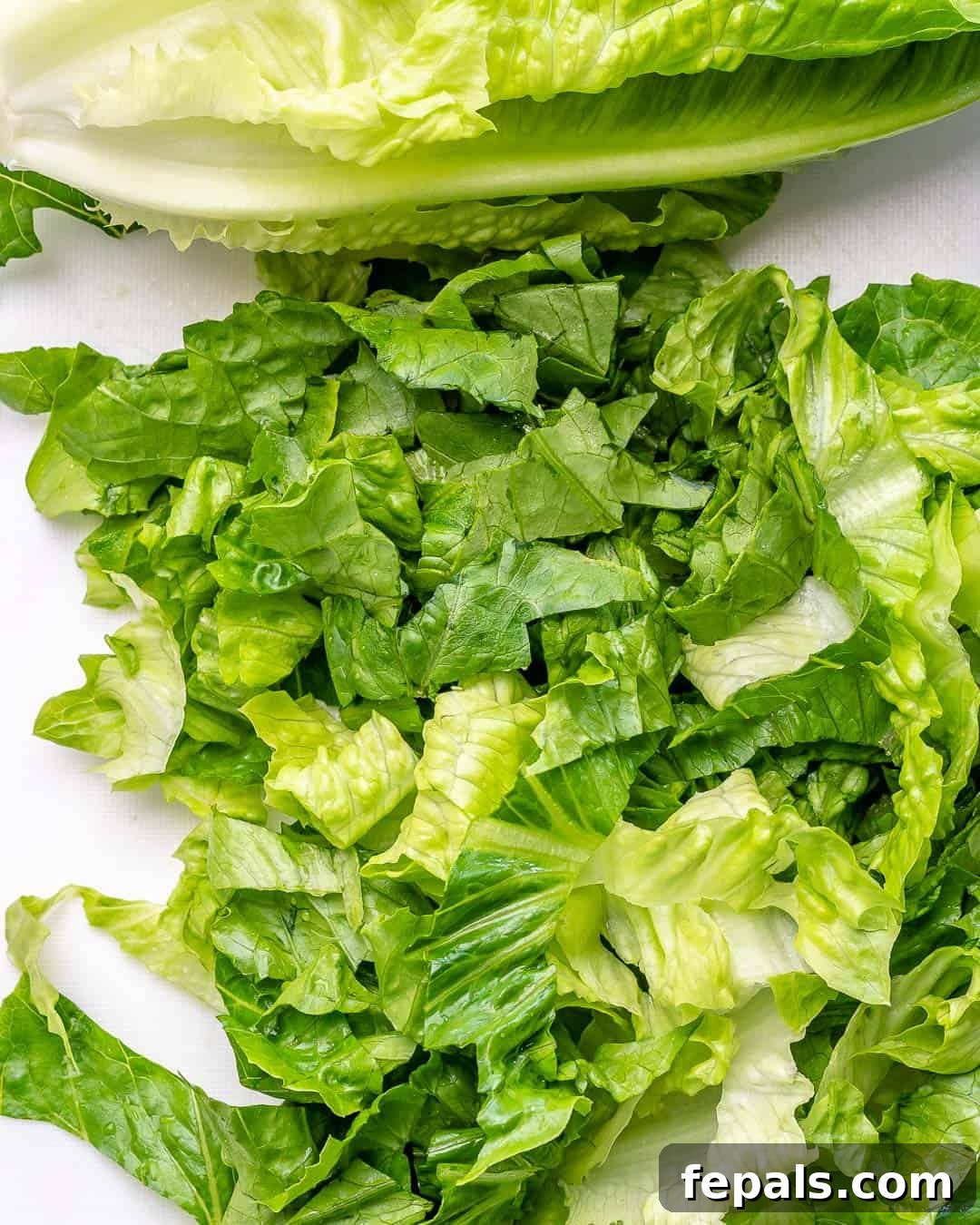 Zesty Mediterranean Chicken Salad 3 Crisp romaine lettuce, freshly chopped and piled high in a white bowl, ready for a healthy and vibrant salad.