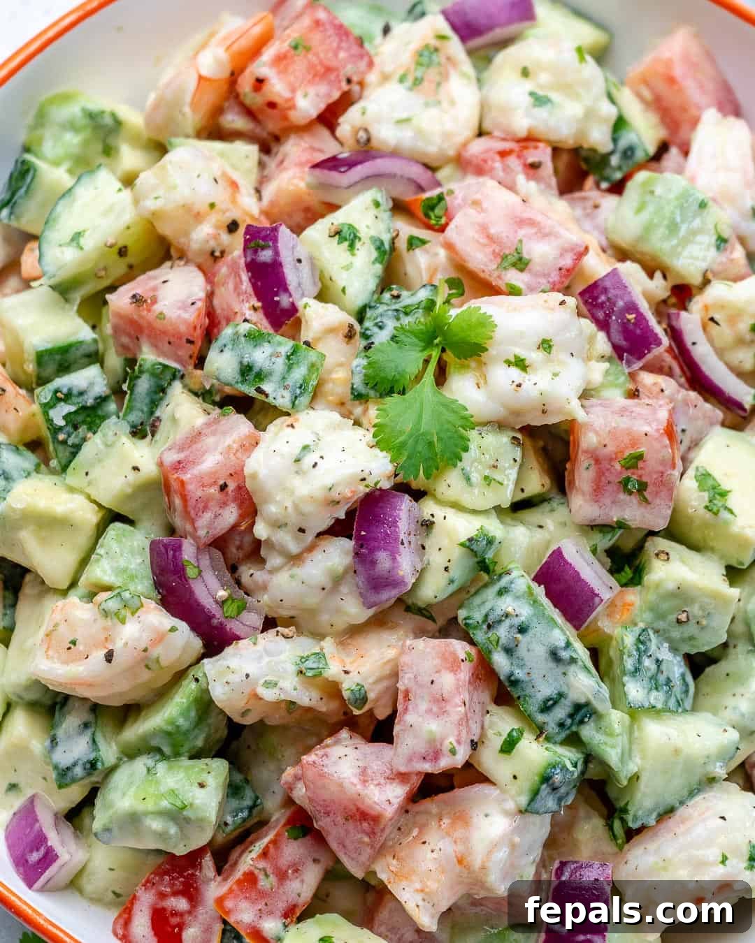 Zesty Shrimp Avocado Salad 6 close up shrimp salad