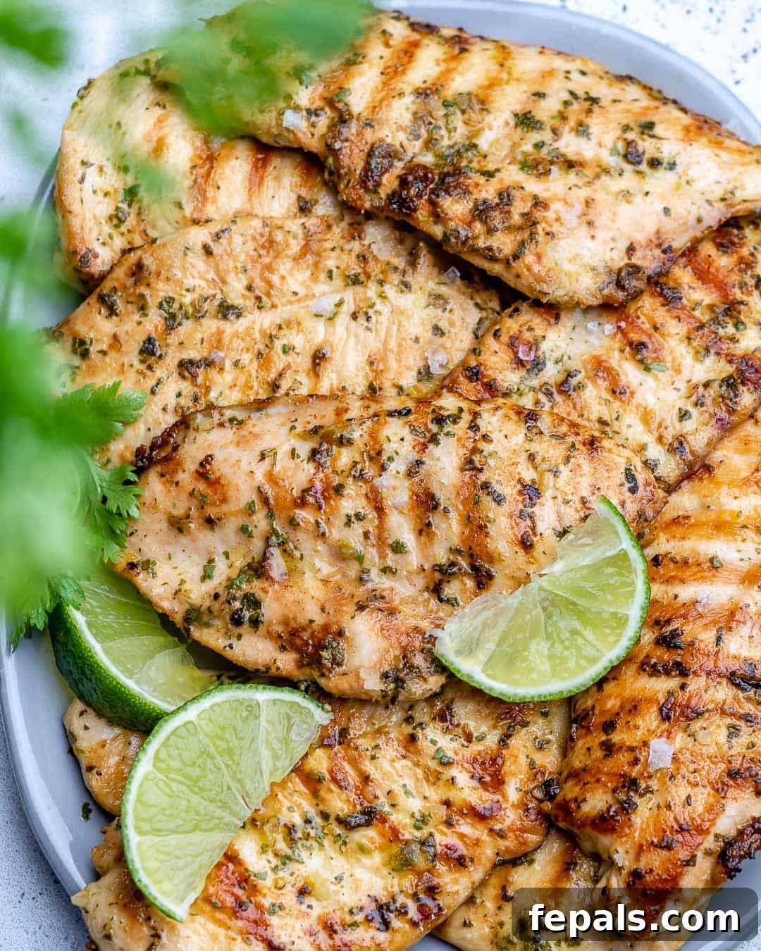A large platter filled with beautifully grilled chicken breasts, ready to serve a crowd.