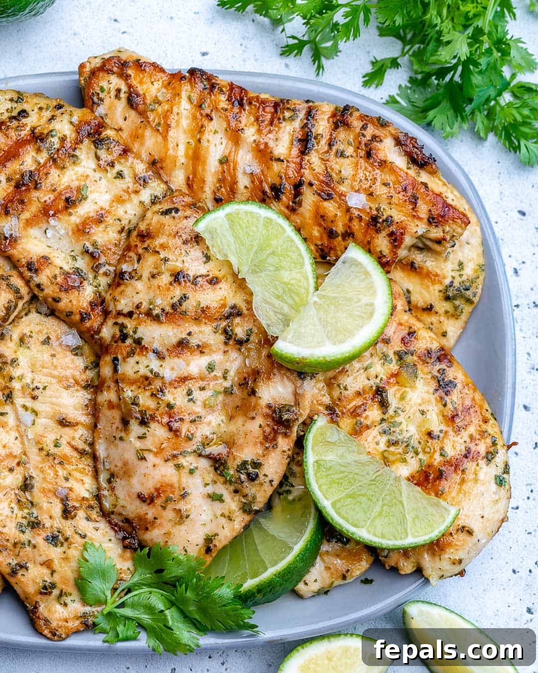 Grilled chicken breasts served on a white plate, ready to be enjoyed.
