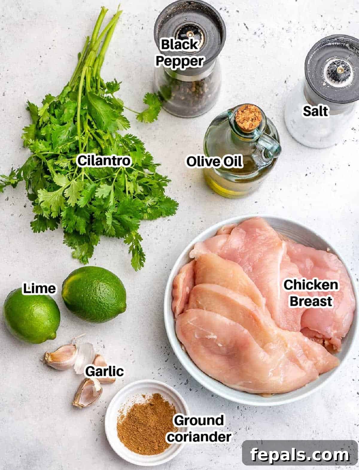 A vibrant flat lay of all the fresh ingredients needed to make cilantro lime chicken, including chicken breasts, fresh cilantro, limes, garlic, and spices.