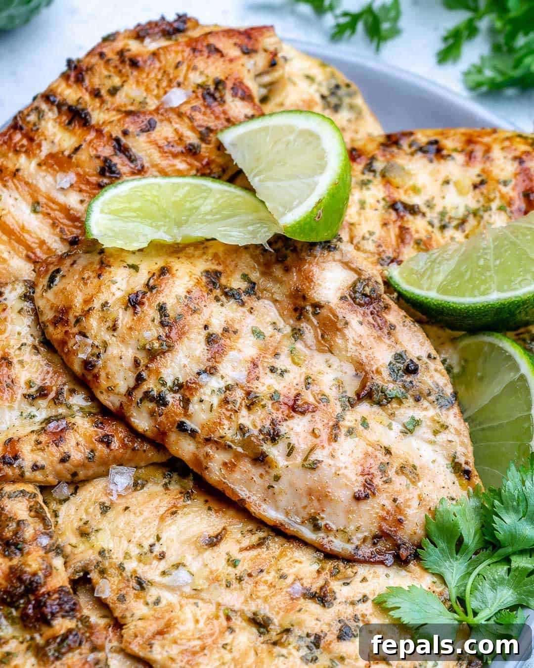 A close-up view of perfectly grilled chicken breasts on a plate, showcasing their tender texture and charred marks.