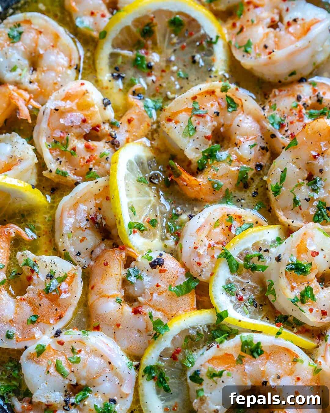 close up of cooked lemon garlic shrimp in a skillet with lemon slices and herbs