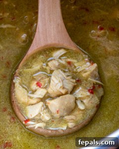 Spoonful of instant pot chicken curry in pot