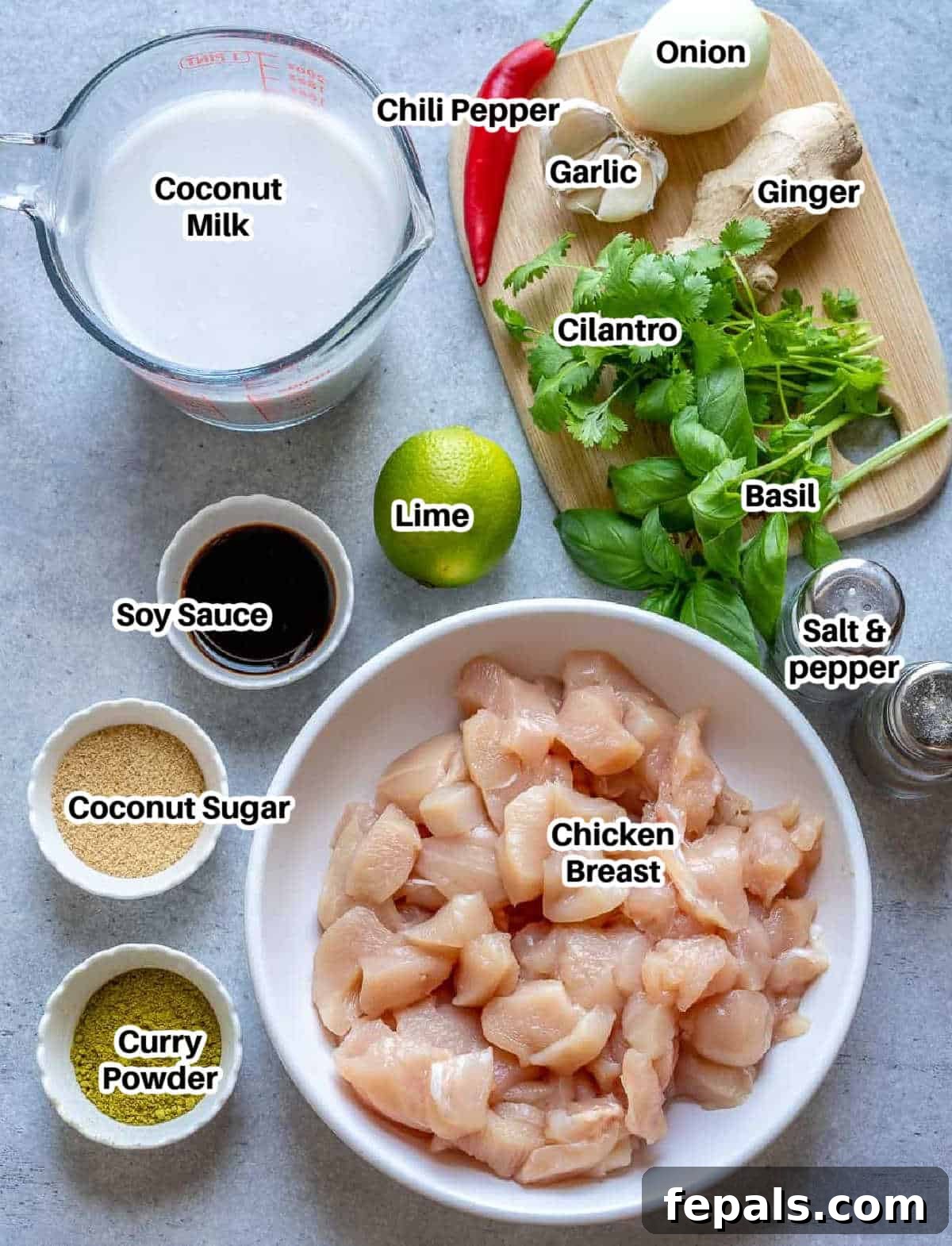 Simple Dairy-Free Instant Pot Chicken Curry 3 Assortment of fresh ingredients laid out for making chicken curry: chicken, coconut milk, spices, herbs, garlic, ginger, and onion.