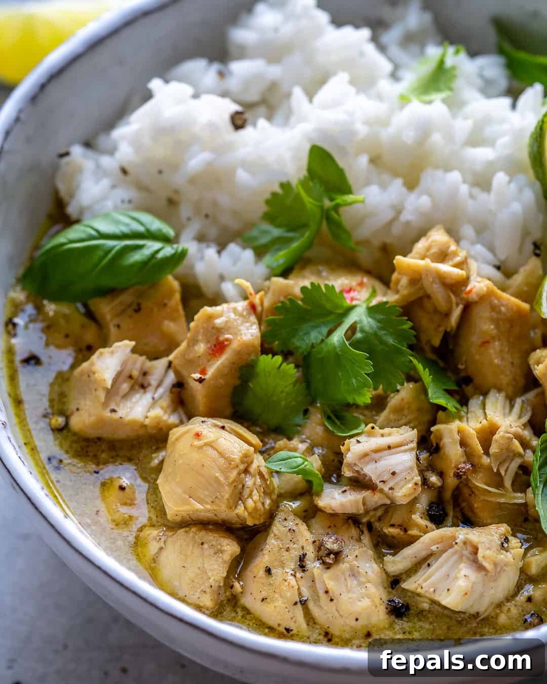 Simple Dairy-Free Instant Pot Chicken Curry 6 Close up shot of a bowl of creamy Instant Pot Chicken Curry with white rice, garnished with fresh herbs, ready to eat.