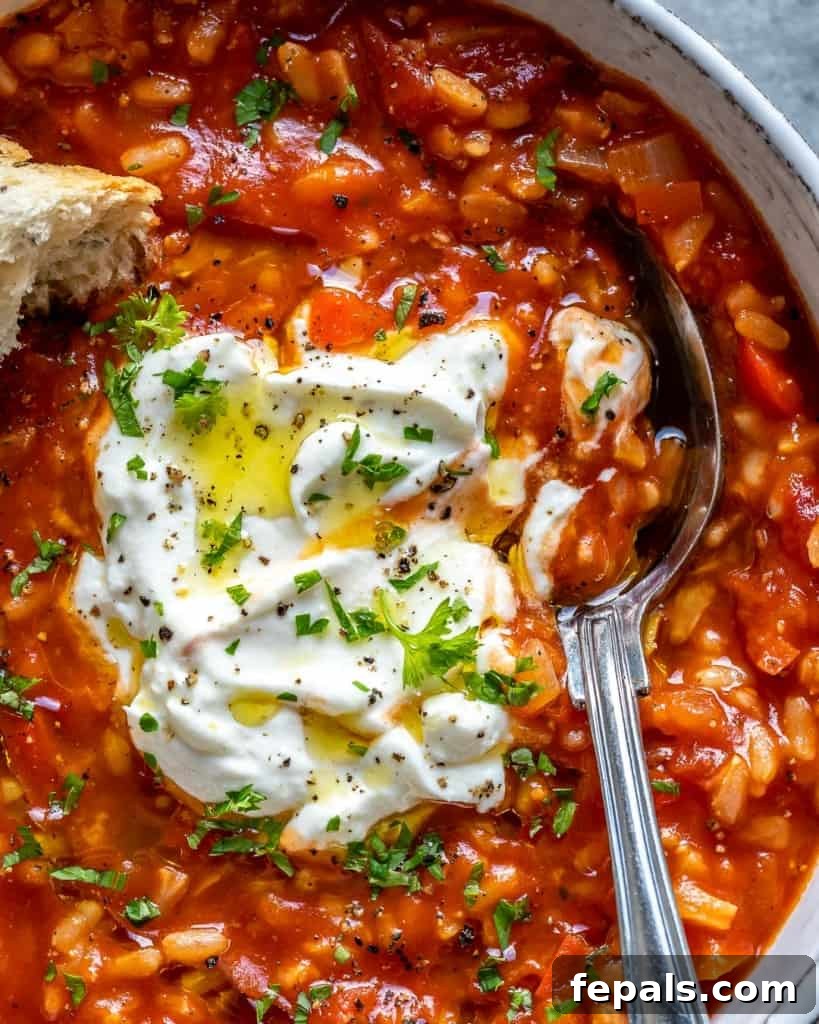 Homestyle Tomato Rice Soup 3 spoon in a bowl of homemade tomato rice soup with yogurt garnish and fresh parsley
