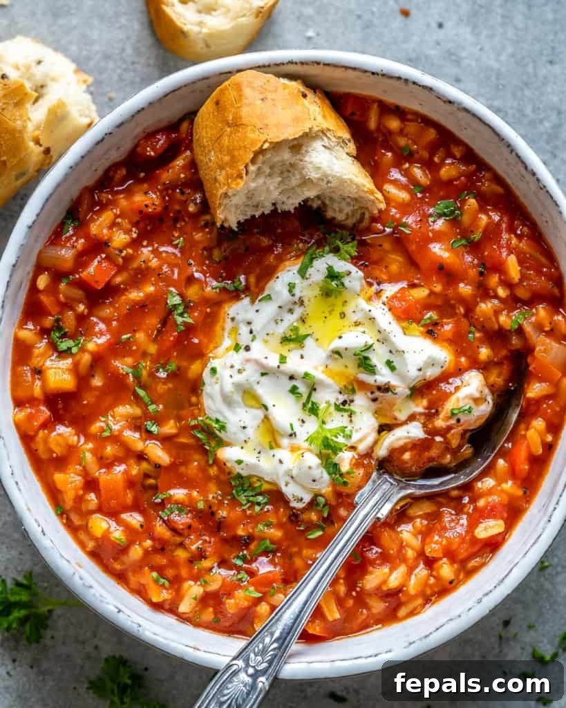 Homestyle Tomato Rice Soup 8 top view of a bowl of tomato rice soup with toasted bread on the side, ready to eat