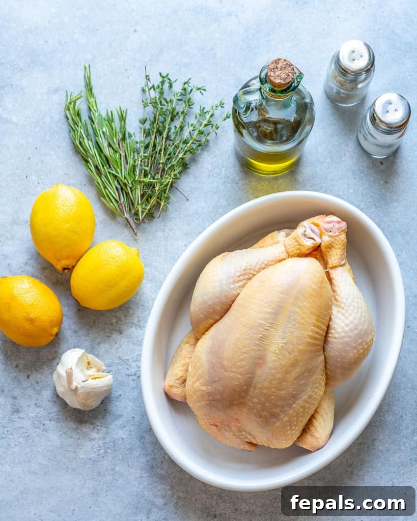 ingredients for chicken roast 