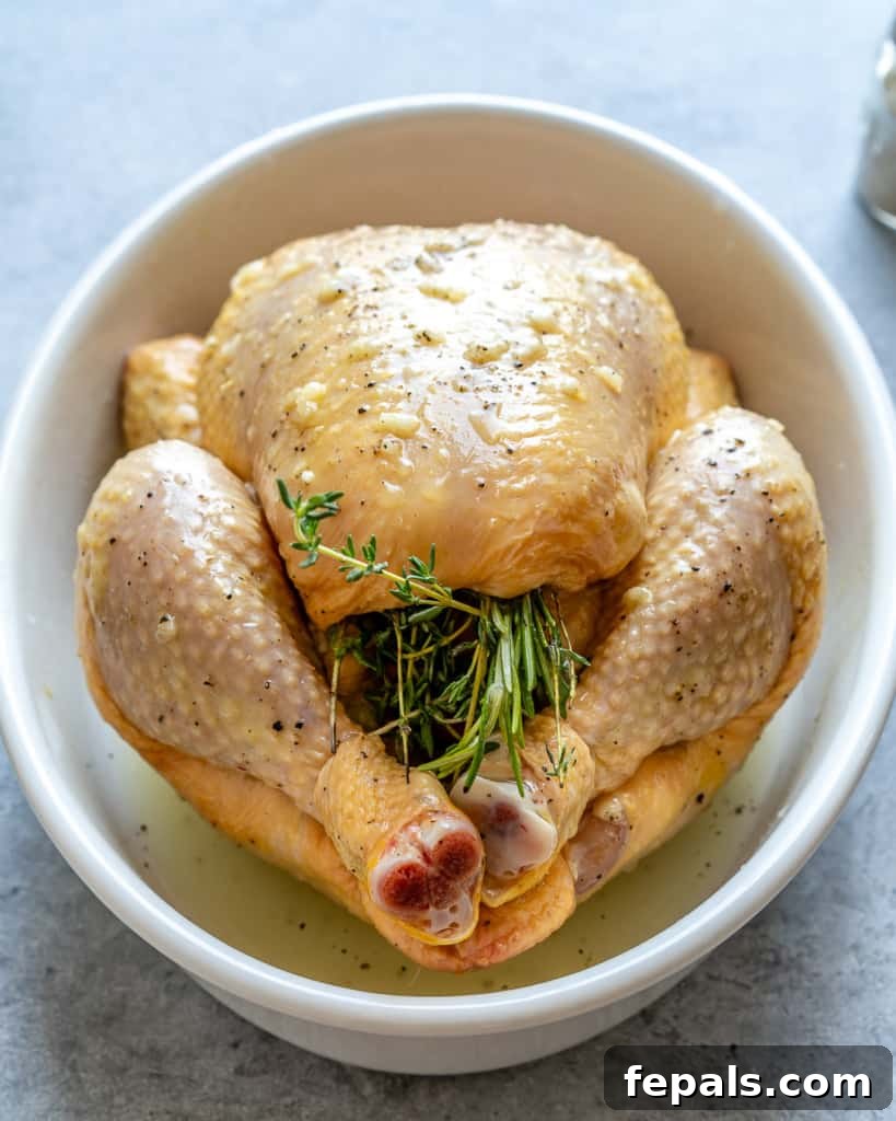 chicken prepped and ready to bake 