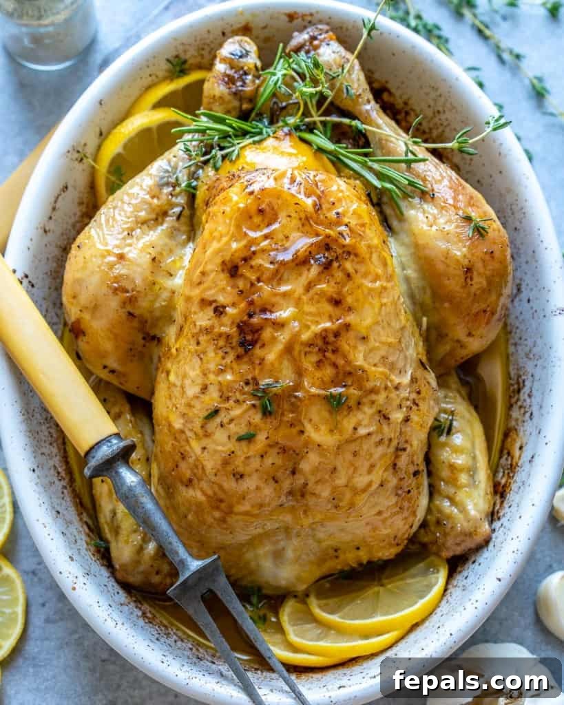 top view or roasted chicken in white dish