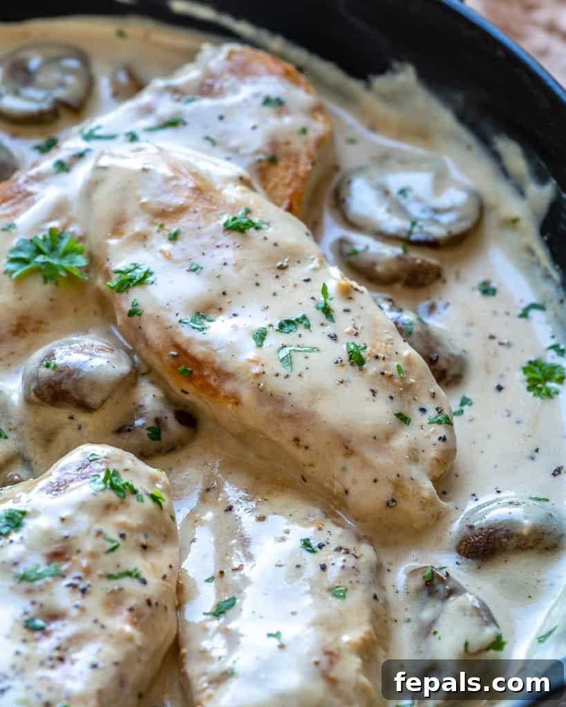 Close up of a creamy chicken recipe with mushrooms and parsley, served directly in a skillet.