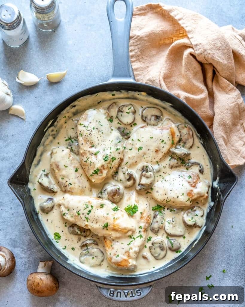 Top view of creamy chicken skillet with mushrooms, ready to serve.