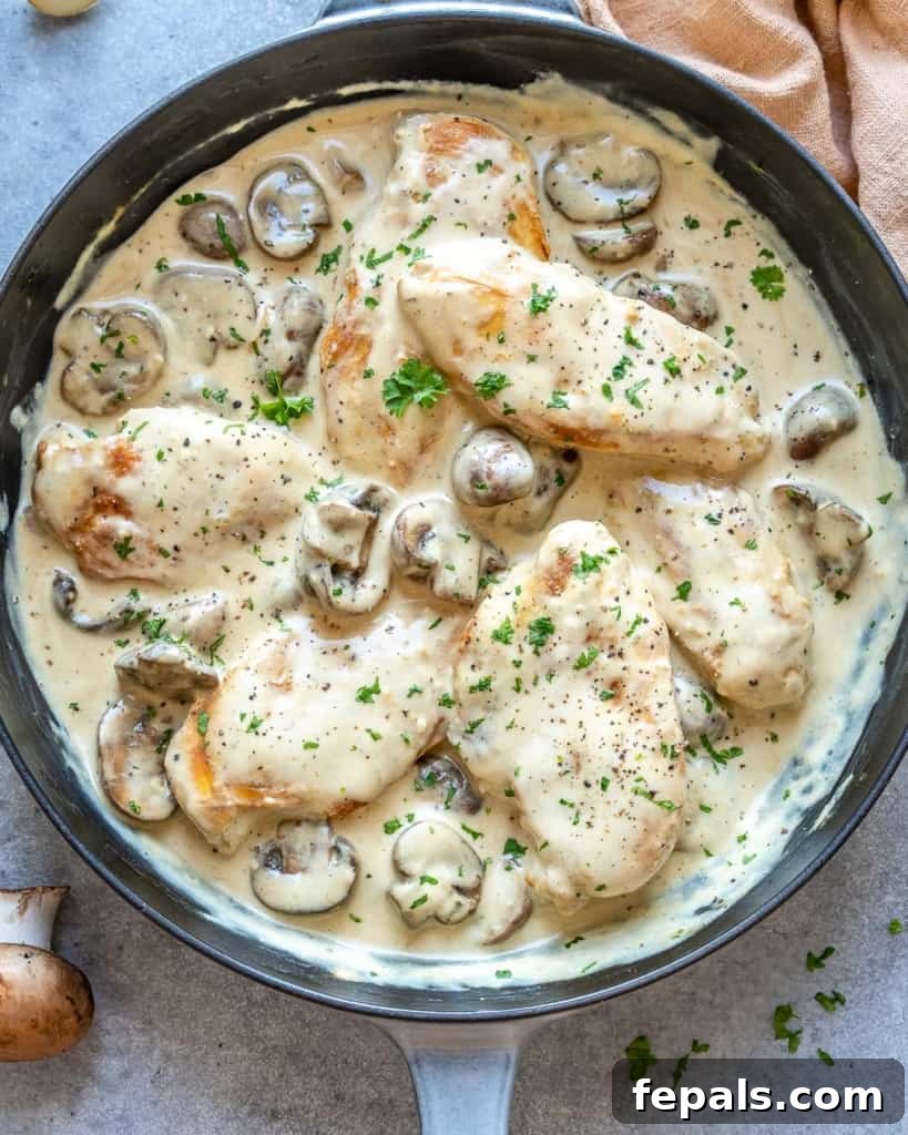 Top view of creamy chicken and mushroom in a skillet, garnished with green herbs.
