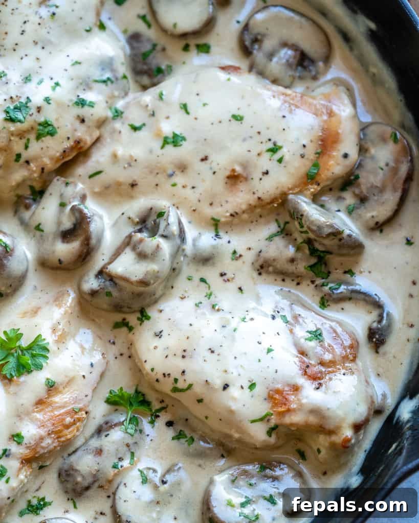 Close up of a creamy mushroom chicken in a skillet, beautifully presented.