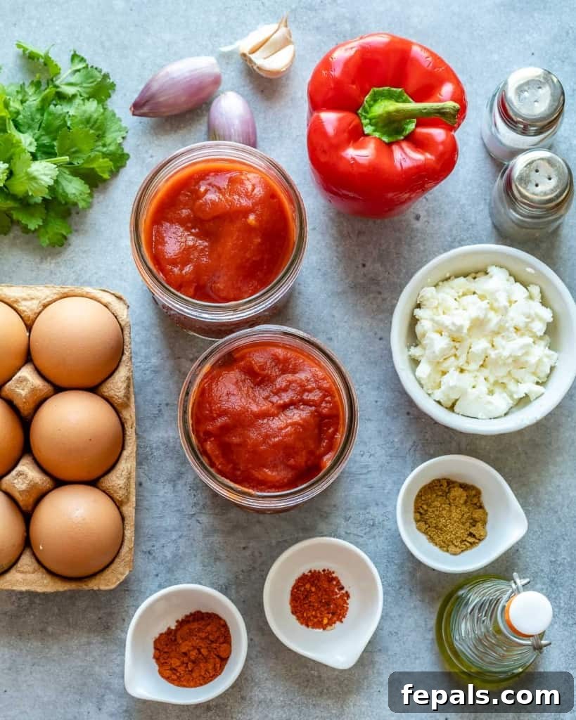 Ingredients for shakshuka recipe on counter