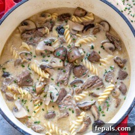 Heartwarming Beef Stroganoff Soup 11 top view of stroganoff soup in red pot