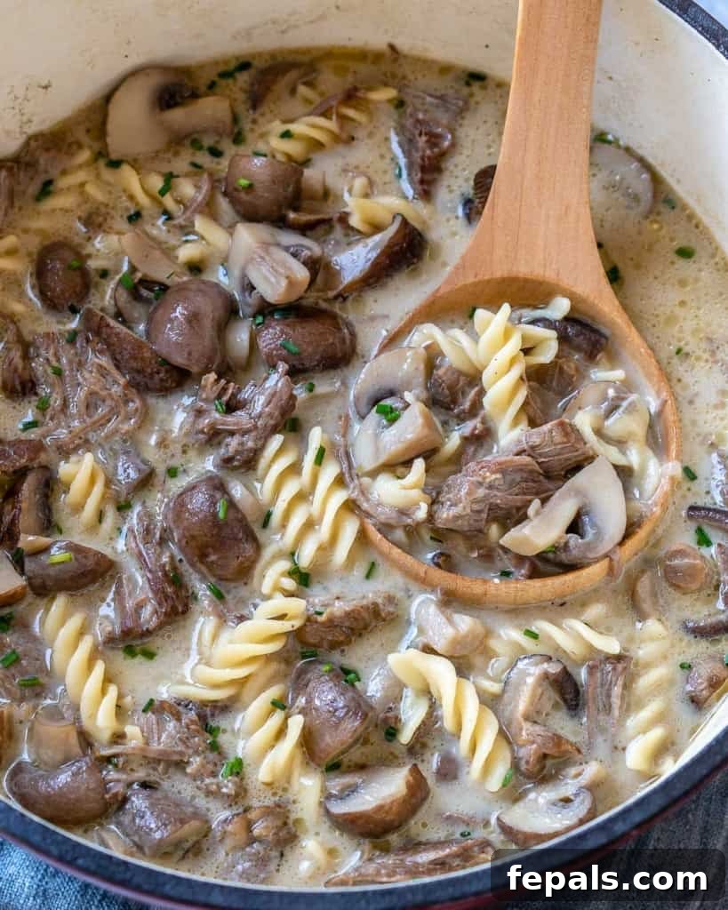 Heartwarming Beef Stroganoff Soup 3 top view of spoon scooping soup in pot
