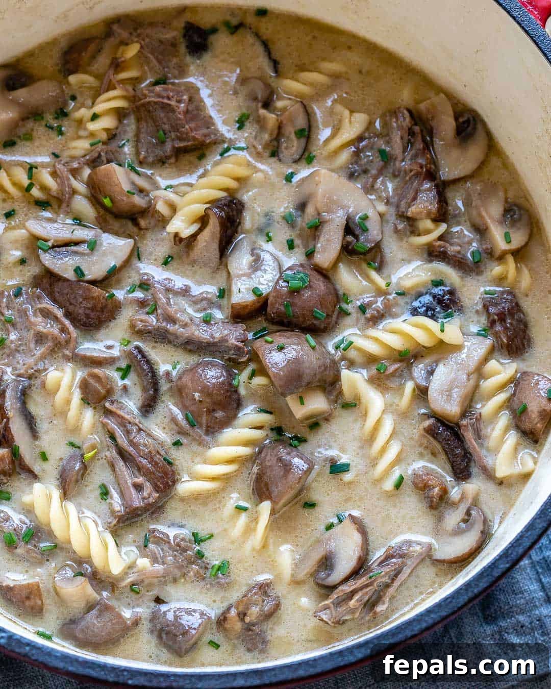 Heartwarming Beef Stroganoff Soup 7 Close view of finished beef stroganoff soup in pot.