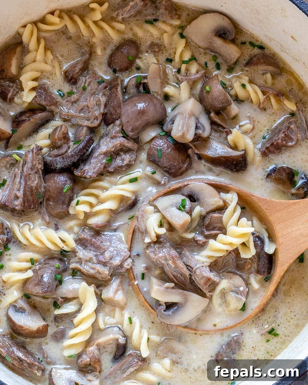 Heartwarming Beef Stroganoff Soup 9 Ladel of stroganoff soup in pot.