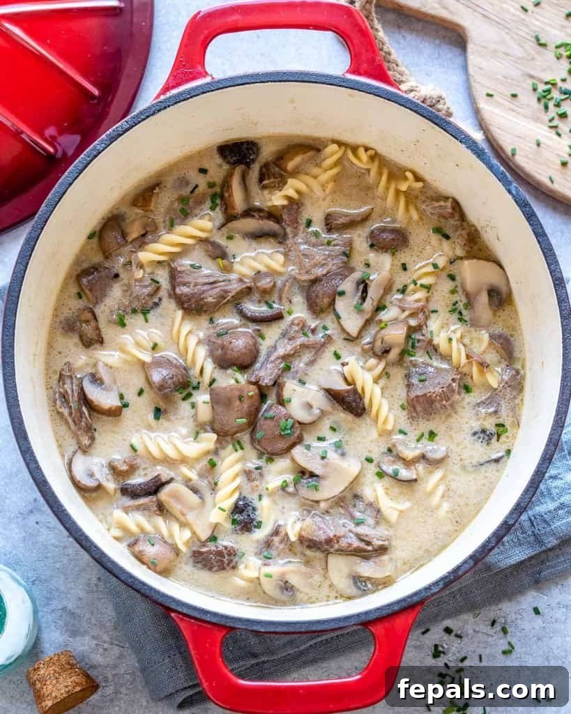 Heartwarming Beef Stroganoff Soup 10 top view of beef soup in red pot