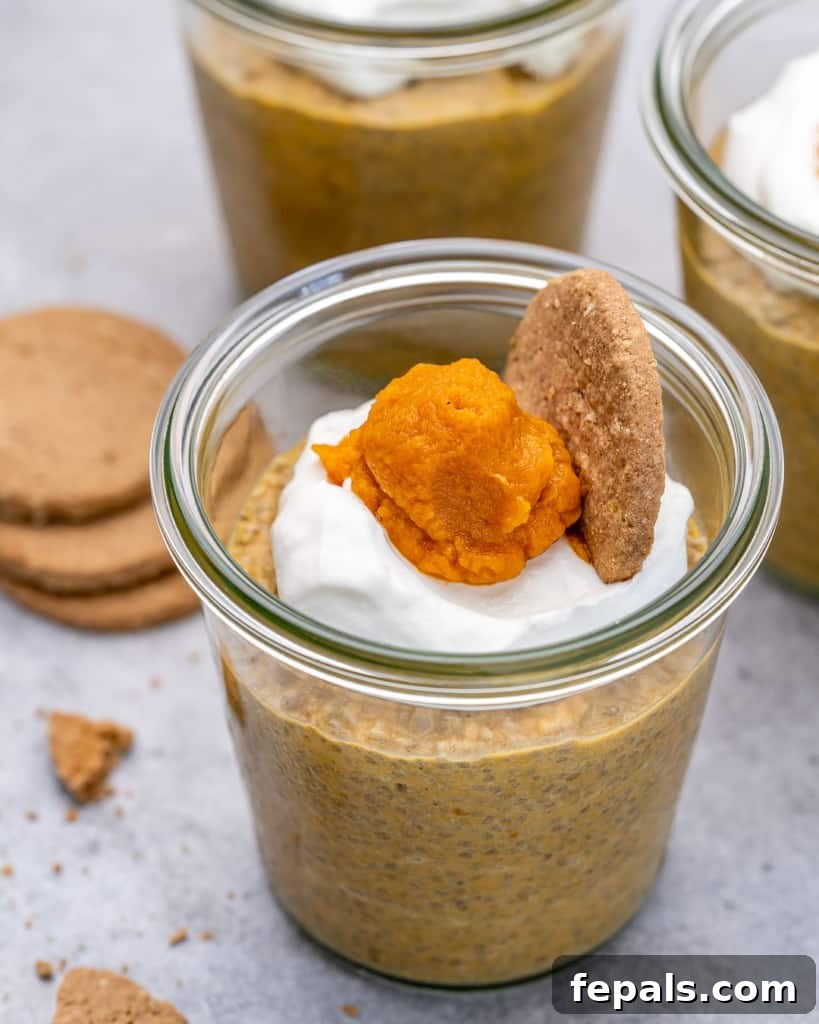 Pumpkin Spice Chia Dream 2 close up chia pudding in a cup