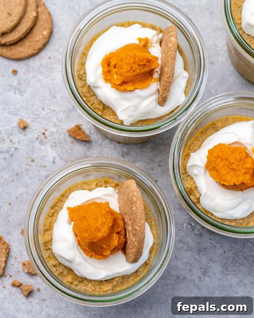 Pumpkin Spice Chia Dream 3 top view of 3 cups with pumpkin chia pudding
