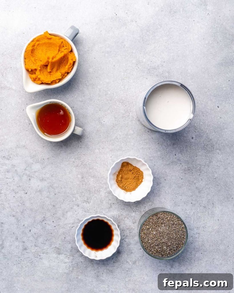 Pumpkin Spice Chia Dream 4 ingredients to make pumpkin chia pudding