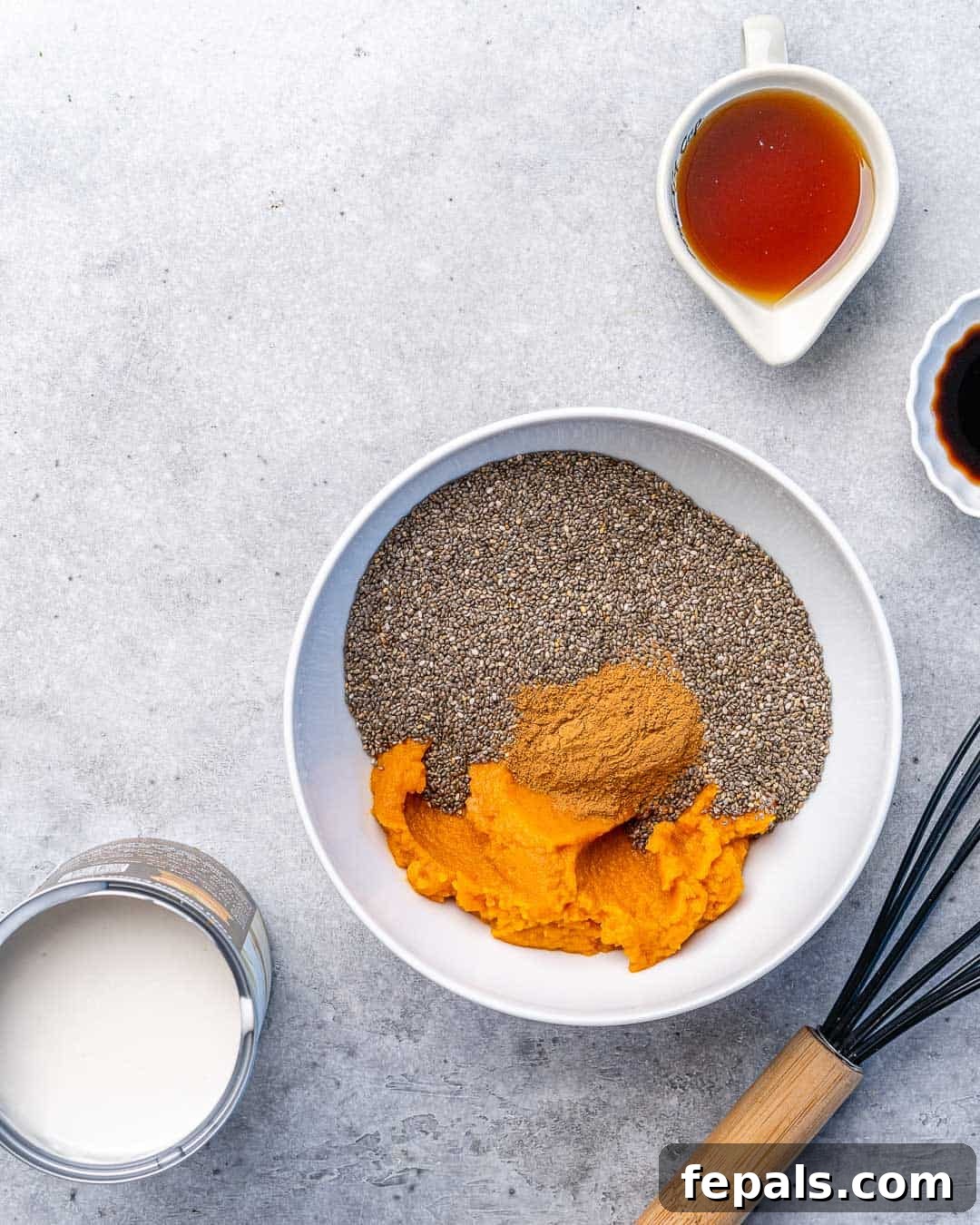 Pumpkin Spice Chia Dream 5 chia and pumpkin puree in a white bowl