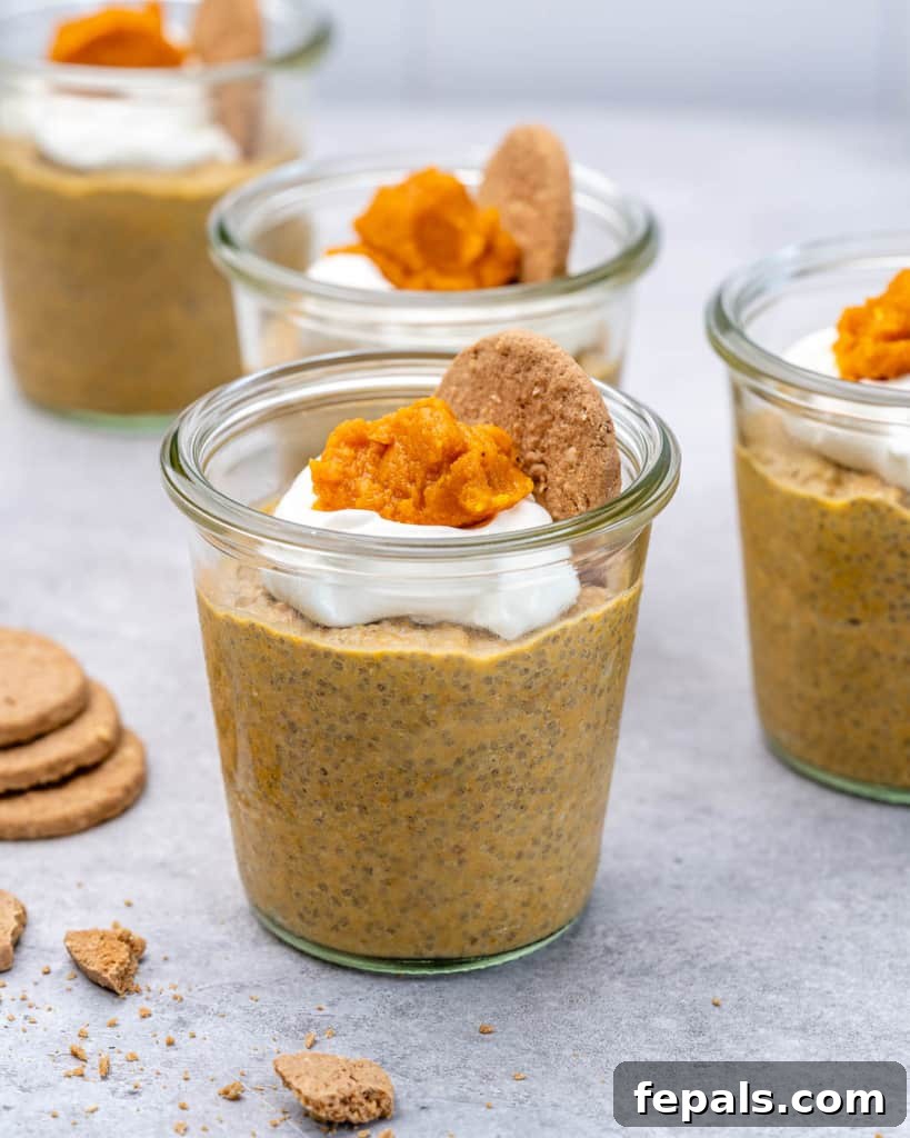 Pumpkin Spice Chia Dream 7 side view of chia pudding in a cup
