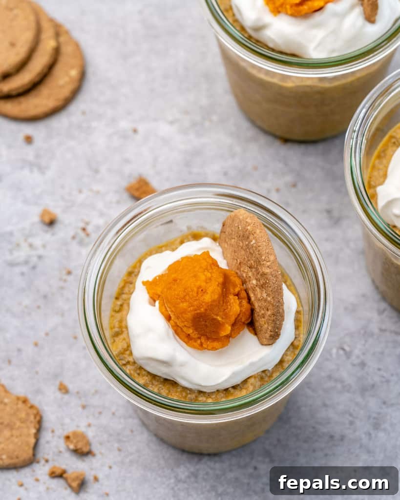 Pumpkin Spice Chia Dream 8 top view of chia puddings with yogurt and pumpkin puree toppings