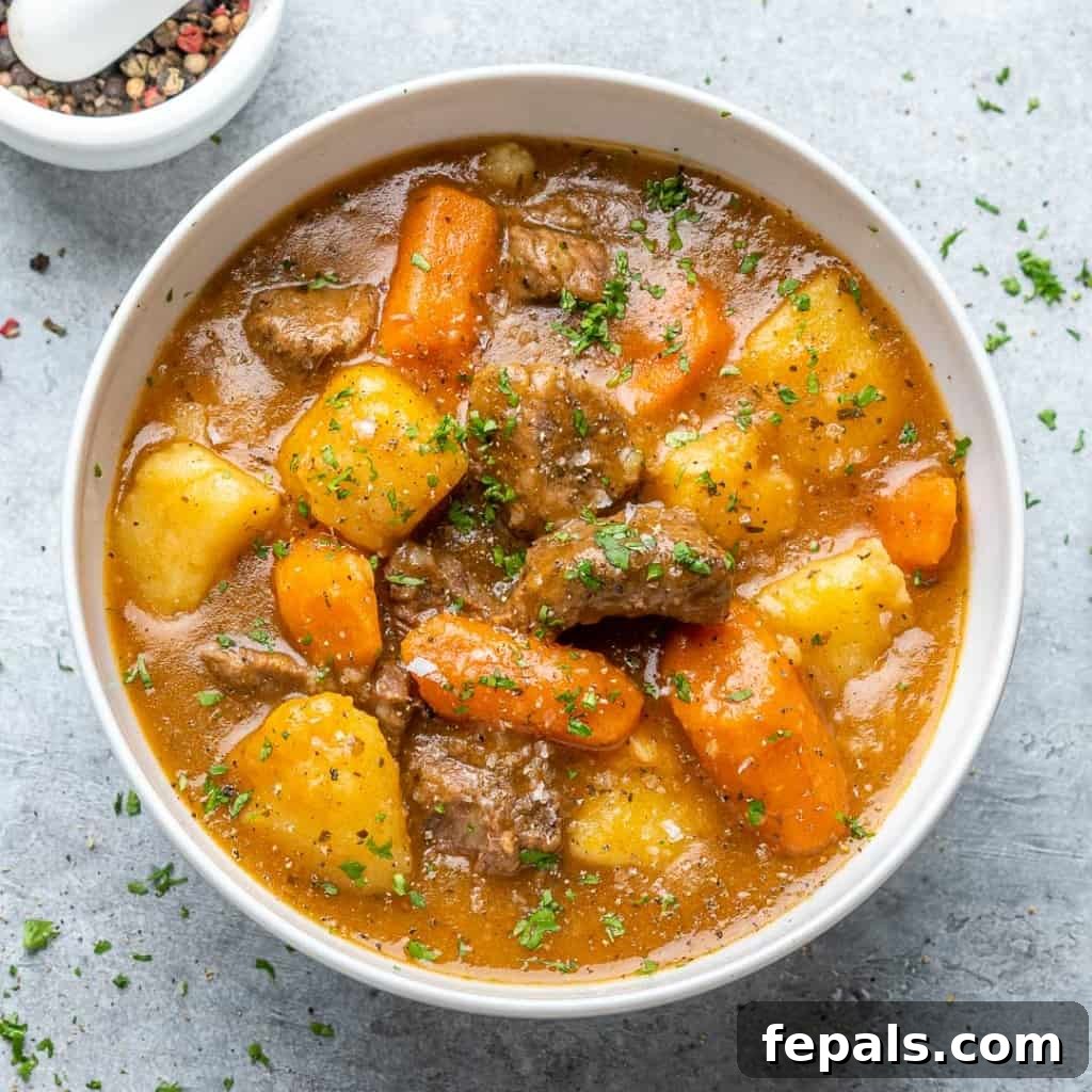 Hearty Instant Pot Beef Stew 2 Top down view of instant pot beef stew in a white bowl.