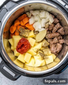 Hearty Instant Pot Beef Stew 7 Overhead view of ingredients in instant pot, before cooking.