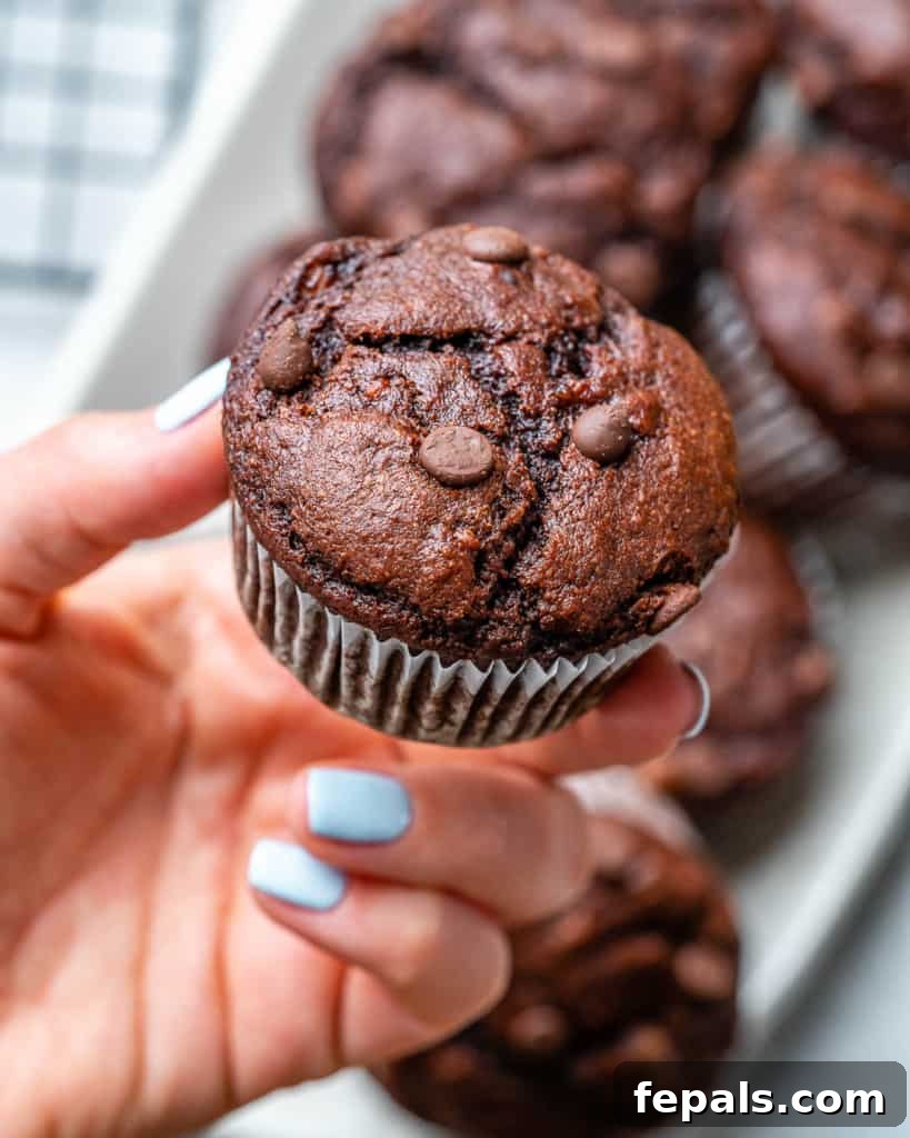 A hand holding a perfectly baked chocolate peanut butter banana muffin, ready to be devoured.