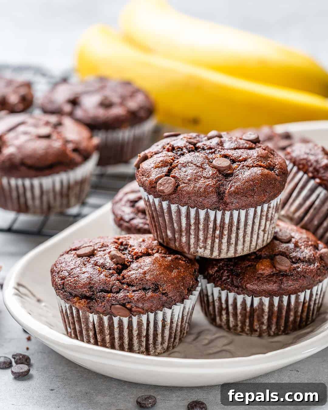 A white tray filled with freshly baked chocolate peanut butter banana muffins, with fresh bananas in the background, highlighting the key ingredients.