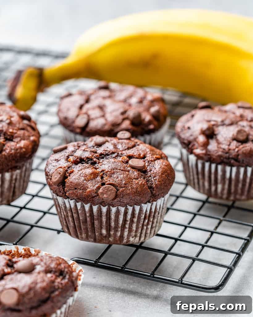 A side shot of chocolate peanut butter banana muffins arranged on a cooling rack, showing their appealing texture.