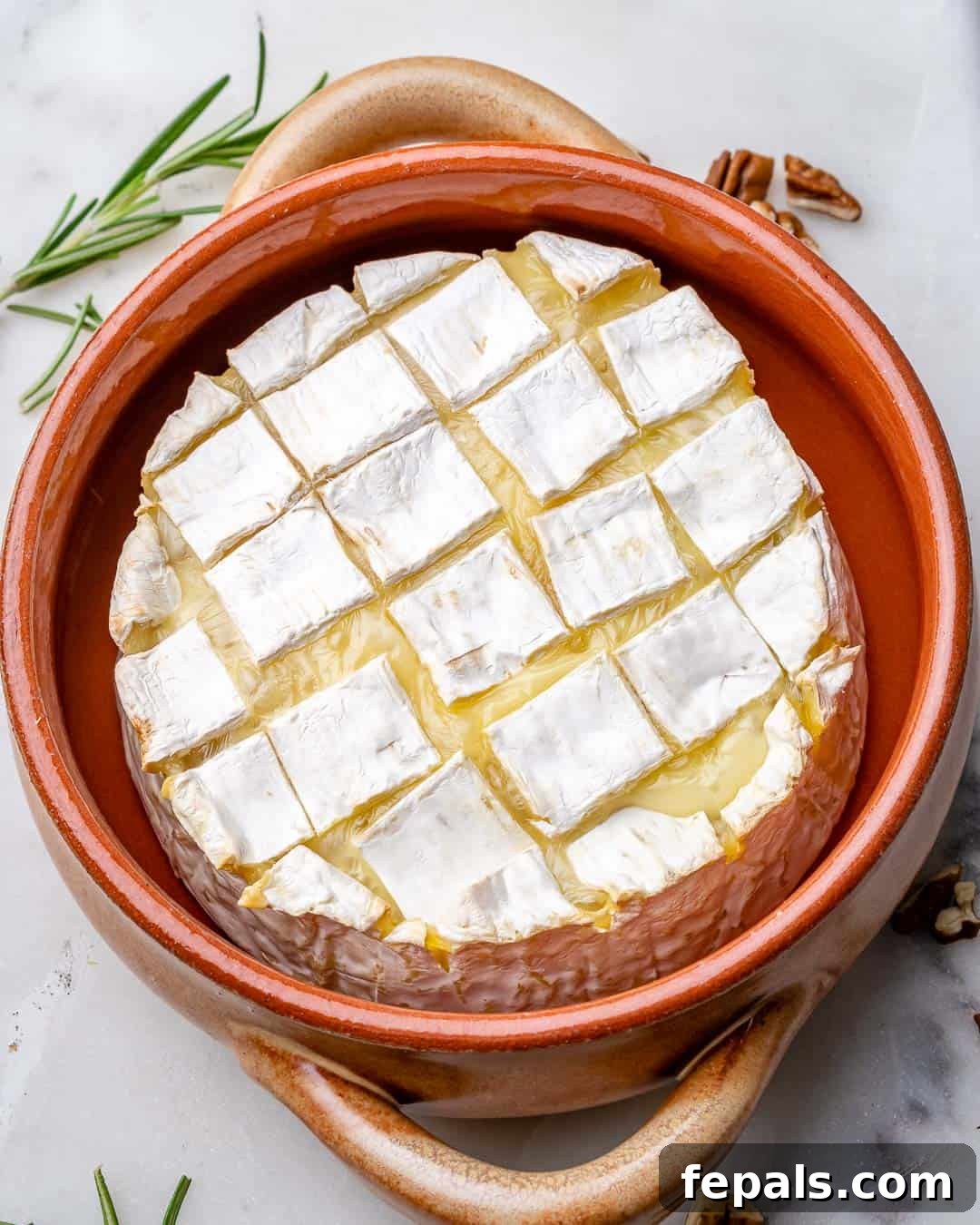Warm Brie with Jewels of Pomegranate 6 Brie cheese in baking dish after baking
